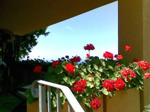 Villetta Vista Mare img9