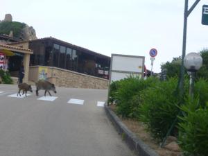 Villetta Vista Mare img27