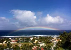 Maison Le Pélican Perché - Saint-Pierre, Grand Bois - Grands Bois
