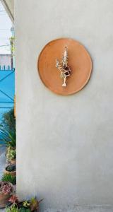 Mini Depa cerca del aeropuerto y Foro Sol