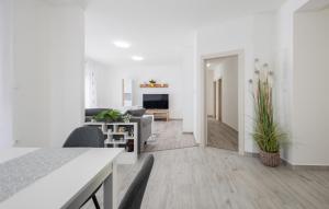 Awesome Apartment In Kolavici