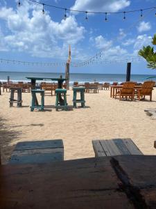 Vitamin Sea Beach Cabana