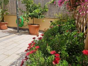 Villa Kate Pula Sardegna img28