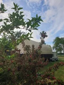 Traum im Pferdewagen - Varchentin