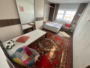 apartman pri X Bionic Sphere Samorin s bazenom