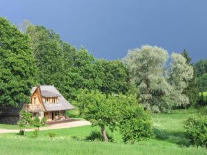 Metsatu Valge Elevandi puhkemaja