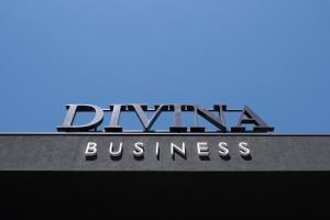 Divina Business