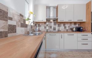 Gorgeous Home In Debelo Brdo With Sauna