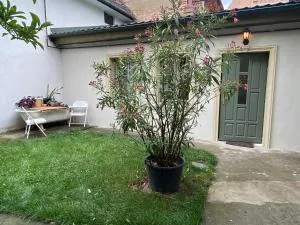 Urban Oasis - Sancraiu de Mures