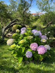 Appartements VILLA ETCHE CAROLA BIDART - Le peintre Appartement 1er Etage : photos des chambres