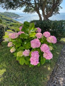 Appartements VILLA ETCHE CAROLA BIDART - Le peintre Appartement 1er Etage : photos des chambres