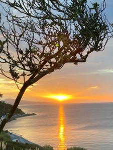 Appartements VILLA ETCHE CAROLA BIDART - Le peintre Appartement 1er Etage : Appartement 2 Chambres