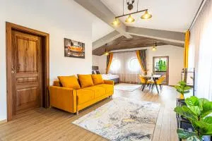 Unique and Cozy ApartHotel in Brasov - Sînpetru