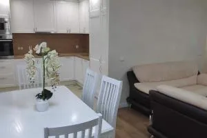 3 jų kambarių būtas Rygos g 46 - Вильнюс