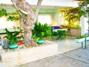 Beach House - Apartments Ana 