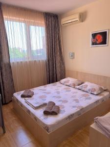 the magic dream, Sveti Vlas