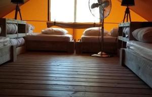 Campings Camping Les Pins d-Oleron : photos des chambres