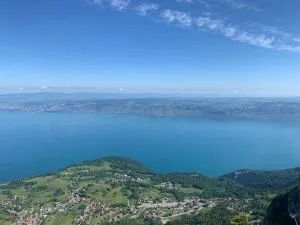 Cocon Savoyard à Thollon les Mémises - 托隆