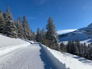 Cocon Savoyard à Thollon les Mémises