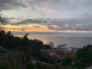 Cocon Savoyard à Thollon les Mémises