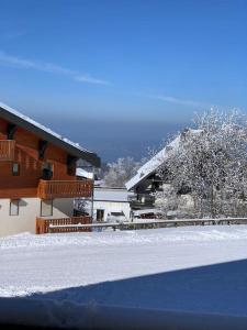 Cocon Savoyard à Thollon les Mémises