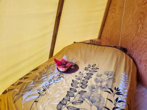 Campings Parc de Nibelle : photos des chambres
