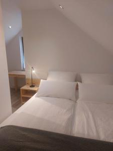 Ferienwohnung Bohinj