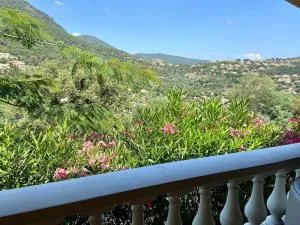 Studio cabine avec terrasse - La Môle