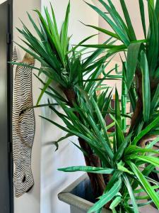 Appartements Appartement en front de mer 6BLION65 : photos des chambres