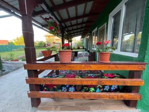 Casa familiala de vacanta