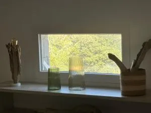 Jolie maison au cœur du maquis - Fontanaccio