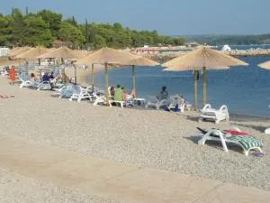 TATJANA Ap2 - Antinal