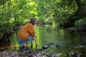 Le Moulin des hirondelles