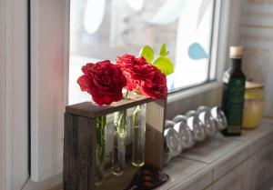 Bird NEST 2 room apartment