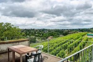 Barbera - Costigliole dʼAsti