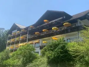 Hotel Schauinsland - 奥佩瑙
