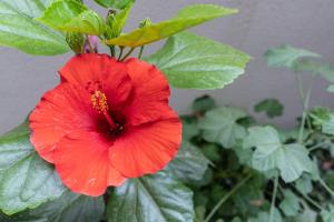 CATANIA E DINTORNI LIVING ROOMS