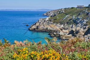 Maisons de vacances LocaLise - M2B - Maison de vacances a la pointe de Lechiagat - Wifi inclus - Draps inclus - Terrain entierement clos - Maison de plain pied : photos des chambres