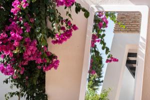 Casa con jardin privado