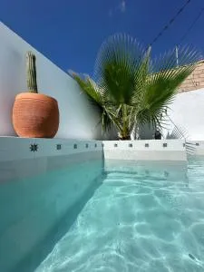 Cueva Ventica - Pulpite