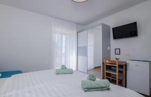 B&B Šegulja