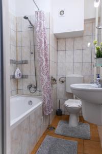 Color Apartment Regina Elisabeta 23