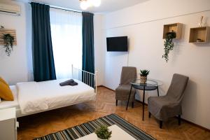 Color Apartment Regina Elisabeta 23