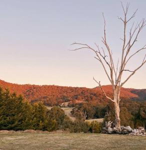 Highland Ten - Luxury Rustic Retreat - Sleeps 10