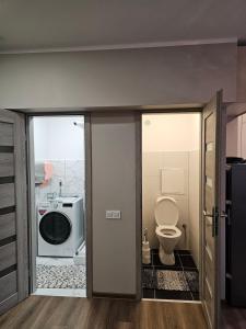 Koknese City Apartment