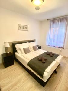 Budapest Downtown Nest