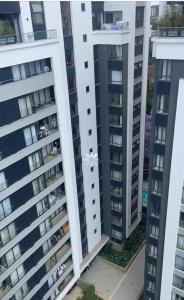 Kimba luxury limited