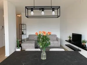 Live Lugano - Via Massagno - Massagno