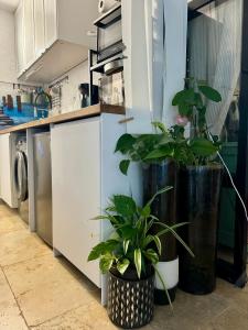 Appartement rez-de-chaussée