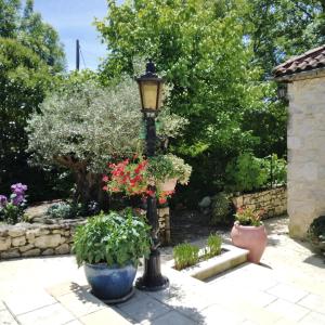 B&B / Chambres d'hotes Le Bosc : photos des chambres